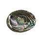Abalone Shell