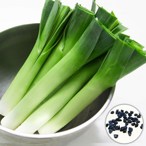 Giant leek seeds british - giant,