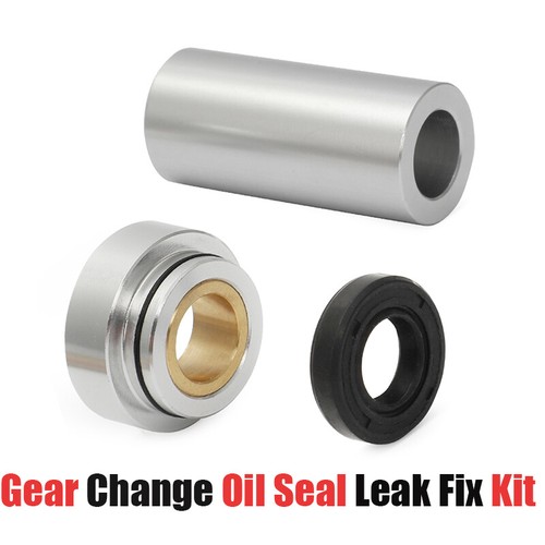 Gear change oil seal leak - oil,