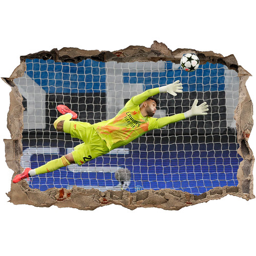 David raya arsenal smashed - arsenal, |