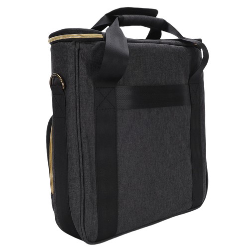 Portable record storage bag - c-portable,