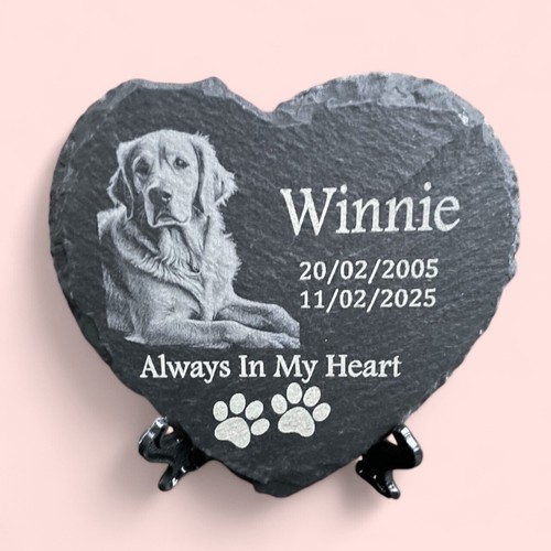 Dog loss photo pet grave - loss,
