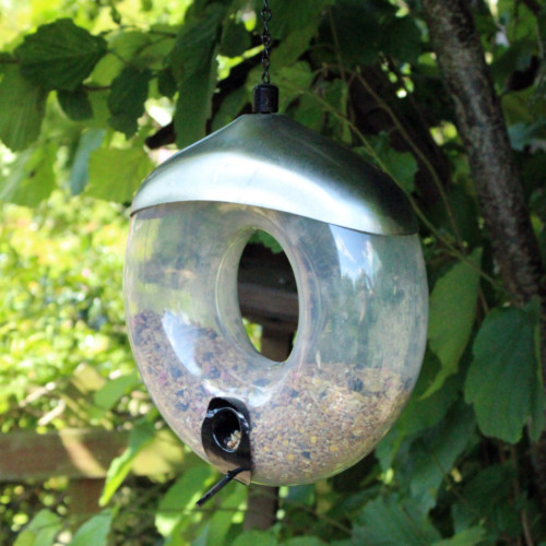 Donut wild bird feeder - bird,