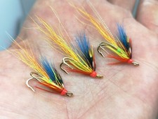 3 Blue Winged Carron Shrimp