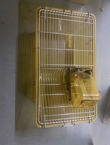 Mouse breeder tubs - breeder,