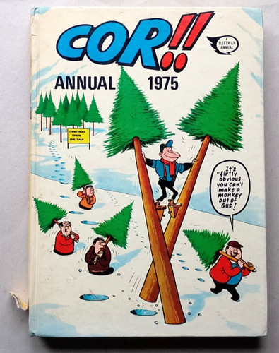 Comic book hardback annual