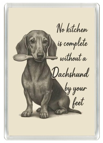 Dachshund dog fridge magnet - dachshund,