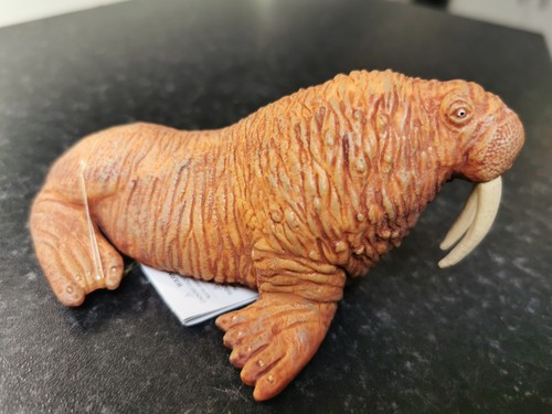 Safari ltd walrus - safari,