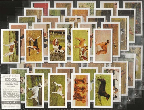 Horniman full set dogs - horniman,