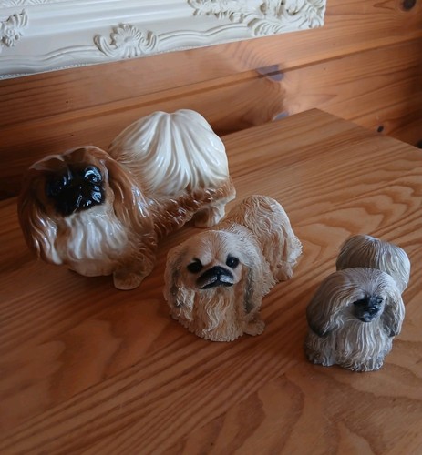 Vintage pekingese dog - 3,