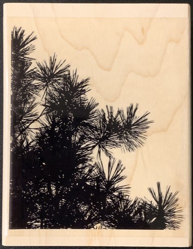 Penny black pine - penny, silhouettes