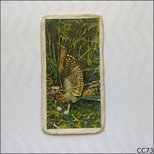 Brooke bond british birds 12 - birds, #12