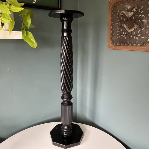 Vintage black plant - vintage,
