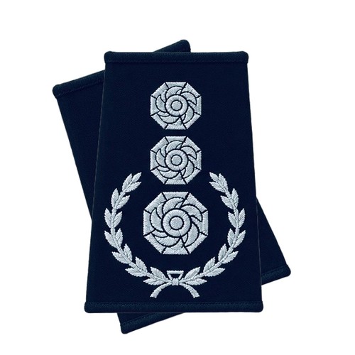 Pair fire service rank - fire,