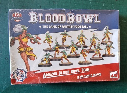 Blood bowl amazon - blood,