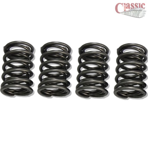 Valve spring set - spring,