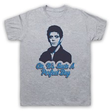 LOU REED PERFECT DAY VELVET