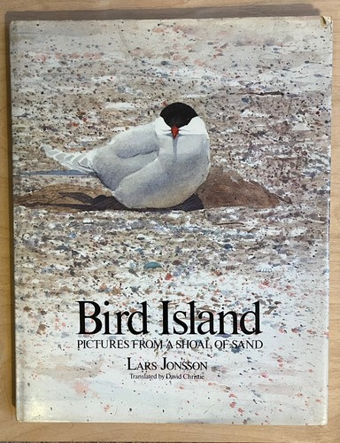 Bird island pictures from - island:, a