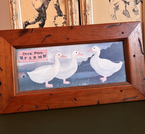 Vintage farmhouse duck - vintage, pool