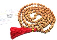 Lab Certified Rudraksha 108+1