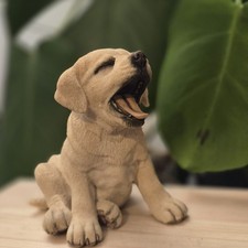 Country artists labrador puppy - labrador,
