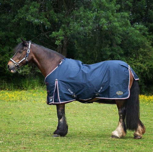 Gallop trojan duraproof - gallop,