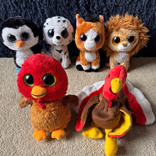 Beanie boo plush - ty, x6