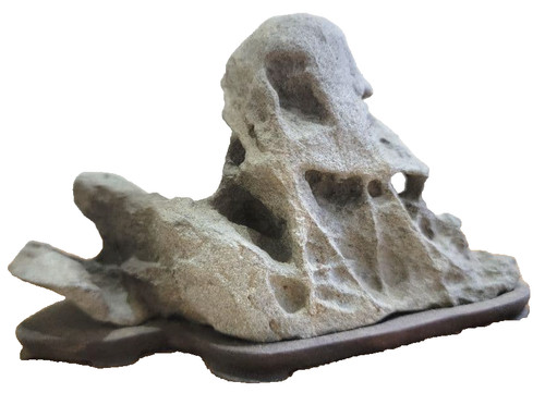 Japanese suiseki unique stone - japanese,