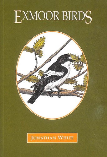 Exmoor birds white - exmoor,