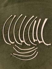 Juvenile Deer Ribs