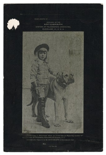 Little girl standing - girl,