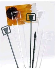 Green Clear White - Card