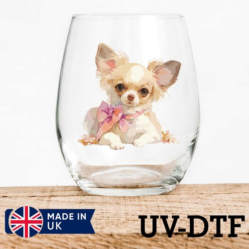 Chihuahua dog 8pcs dtf - chihuahua,