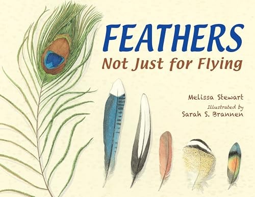 Feathers not just for flying - feathers:,