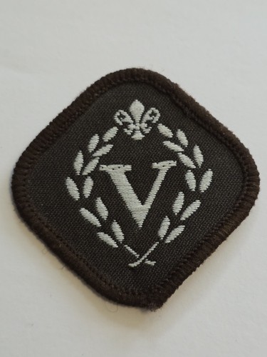 Scouting venture scout - uk,