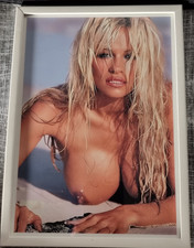 Pamela Anderson Art Nude Model
