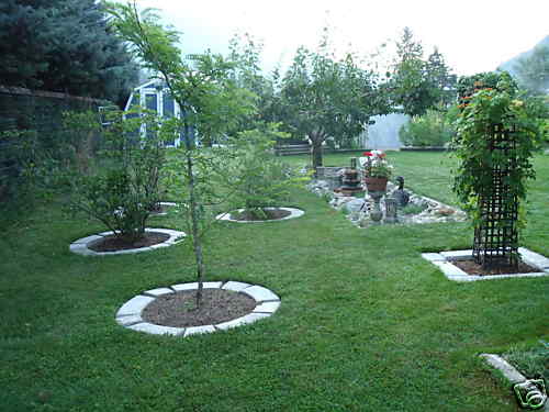 Large diy concrete garden - large,