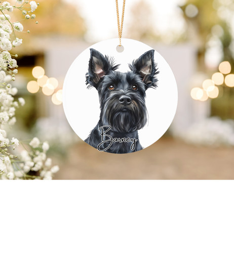 Scottish terrier dog - terrier,