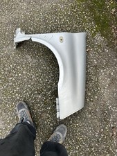 Renault Clio 182 -172 Driver Side Wing
