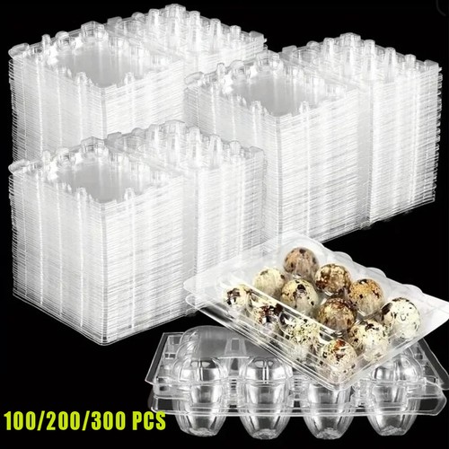 100 200 300 quail egg - 100/200/300, box