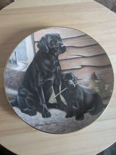 Like Father, Like Son-Franklin