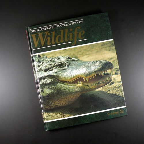 The illustrated encyclopedia - the,