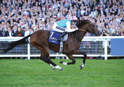 Frankel horse racing legend - racing,