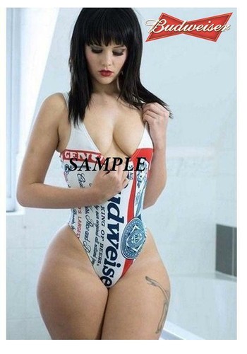 Budweiser girl refrigerator - #1,