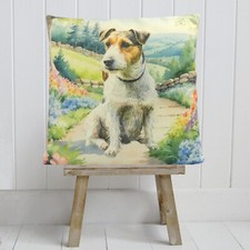 Wirehair Jack Russell Terrier