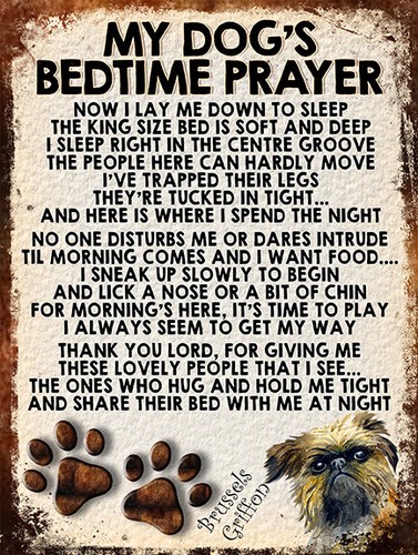 Dog bedtime prayer - my,