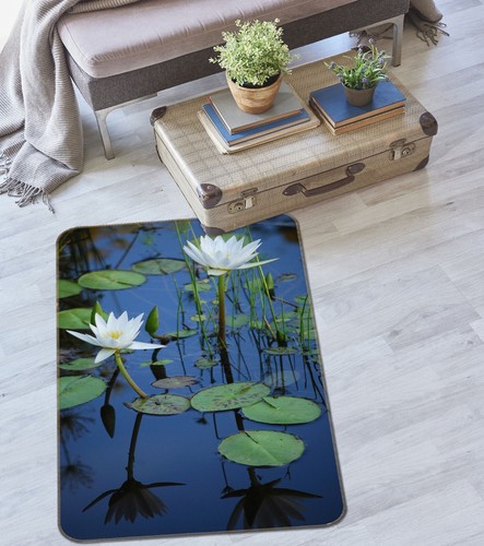 Summer lotus pond zhub501 - 3d,