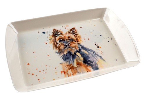 Melamine plastic 23x16cm snack - plastic,
