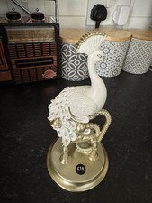 BN NEXT White Benedict Peacock