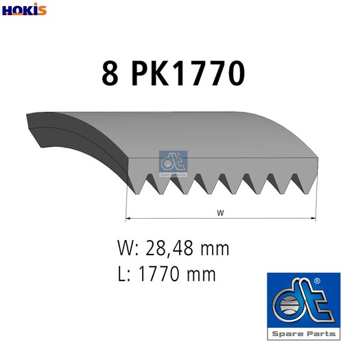 Vribbed belt 41539 - 5.41539, ford